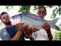 10 kg Big Fish Recipe Cooking By Our Grandpa | Big Fish Curry Donating to Orphans