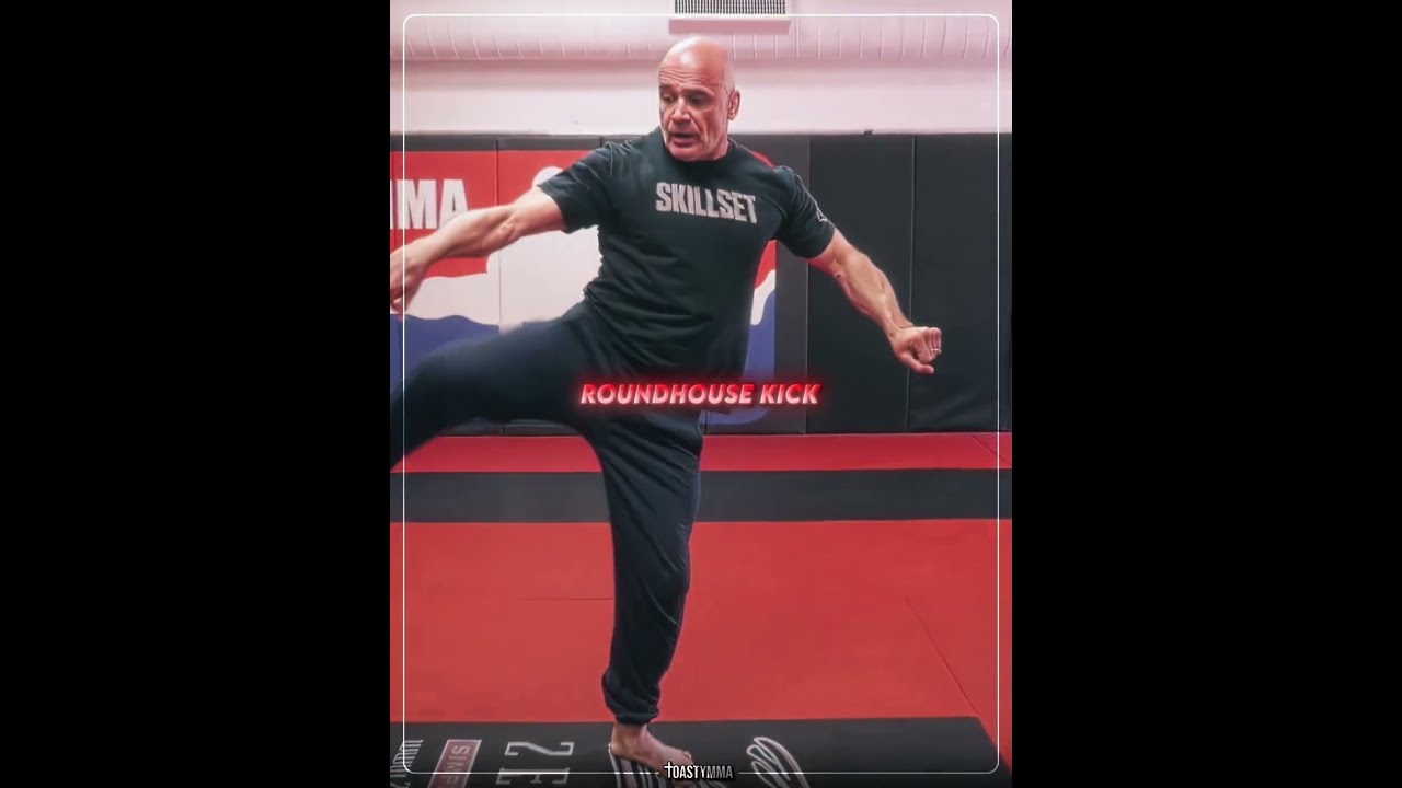NOBODY Sees THIS KICK Coming OfficialBasRutten Fighttips
