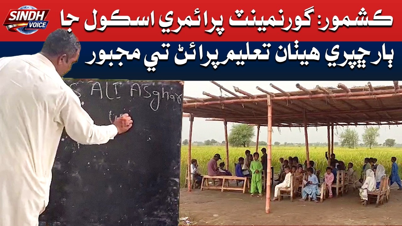 Kashmore Govt Primary School Deprived of Building, Students Study Under ...
