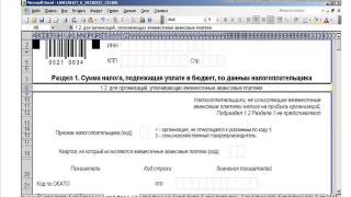 Структура налоговой декларации Структура налоговой декларации