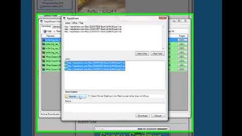 How to Run/Use Rapidshare Manager