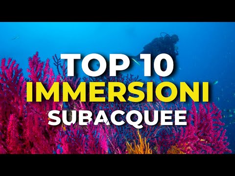 Video: Le migliori destinazioni per le immersioni subacquee