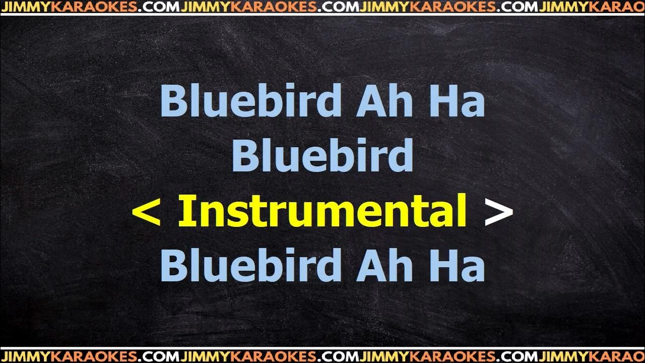 Paul McCartney Bluebird Karaoke - YouTube