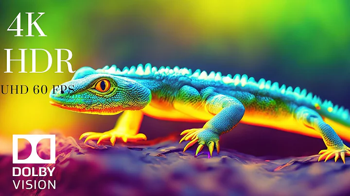 ANIMAL KINGDOM |  4K HDR DOLBY VISION™ (60 FPS) | with relaxing music