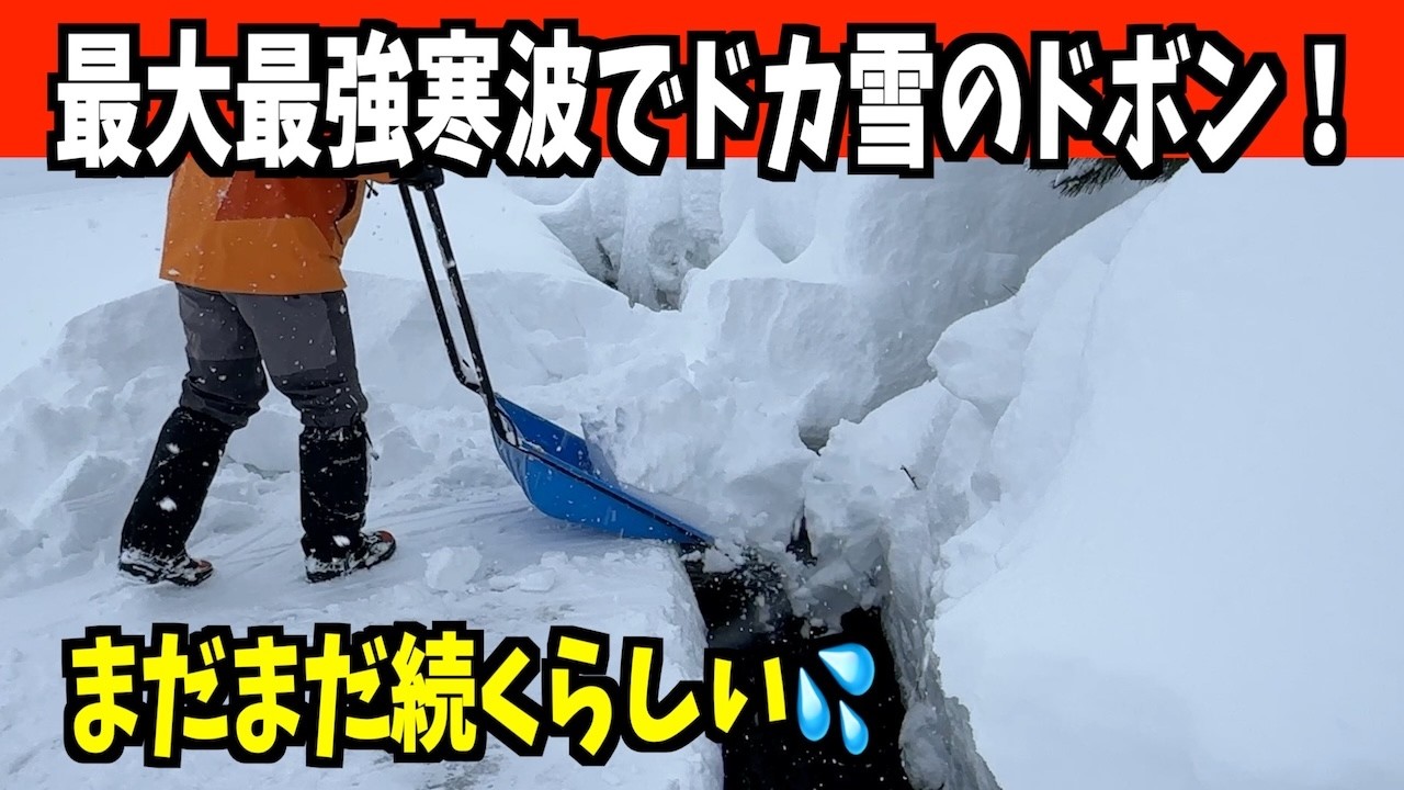 【最強最長寒波】妻七が連日のドボン！2026-01-22（木）大雪警報、猛吹雪、ドカ雪！　武七、妻七の除雪・雪かき日記　snow removal ASMR