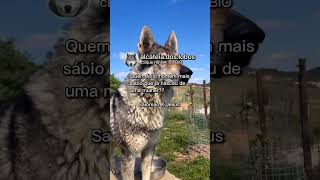 3 De Janeiro De 2023