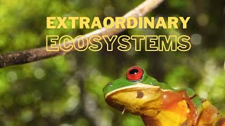 Extraordinary Ecosystems - Trailer