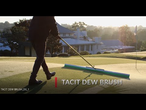 TACIT DEW BRUSH - David Golf