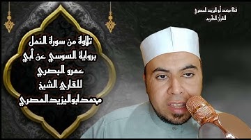 تلاوة رائعة من سورة النمل برواية السوسي عن أبي عمرو البصري| القارئ الشيخ محمد أبو اليزيد المصري