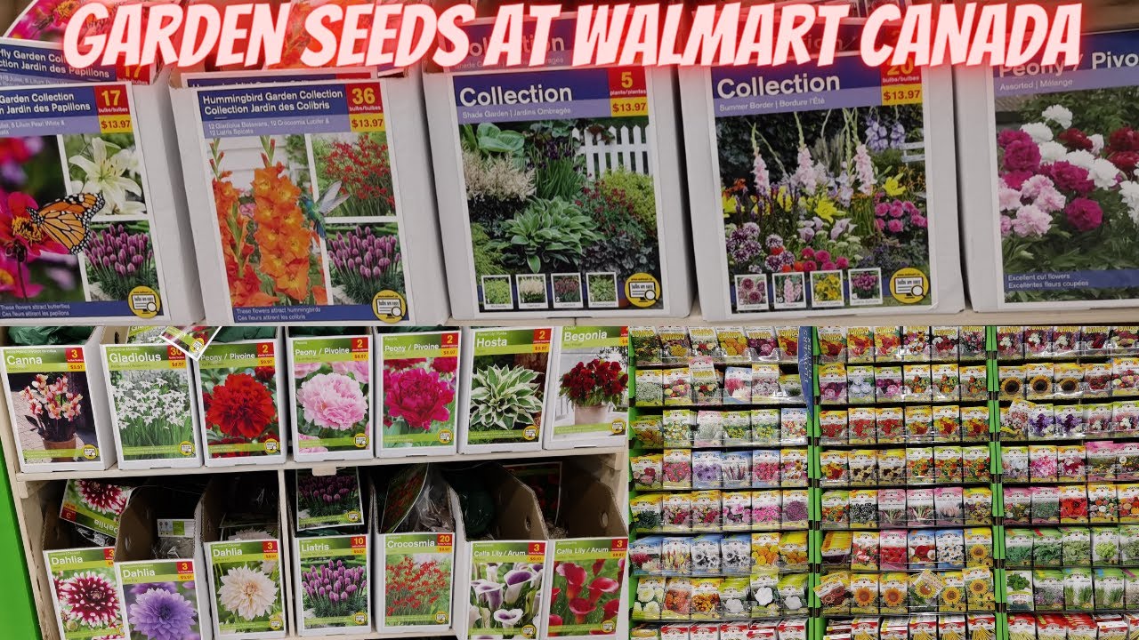 Garden Seeds At Walmart Seed Shopping Vegetable Seeds Herbs