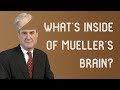 What&#39;s Inside (Mueller&#39;s Wrinkly Brain)