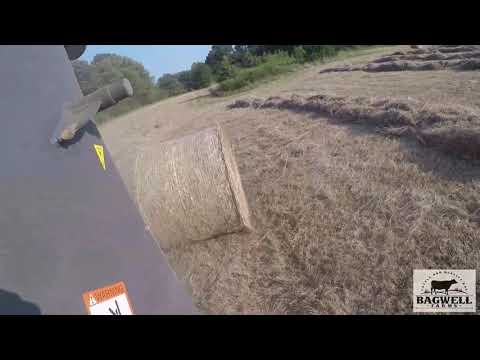 Video: Johnson Grass Control: kuidas Johnson Grassist lahti saada