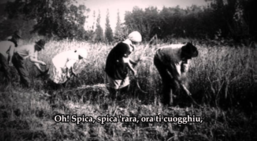 Cantu di li  Scugghitura - Solo Fisarmonica