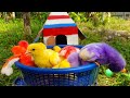 Catching chickenscute chickensrainbow chickenscolorful chickensrainbow chickensanimals cute 147