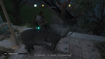 Mount Glitch | Assassin