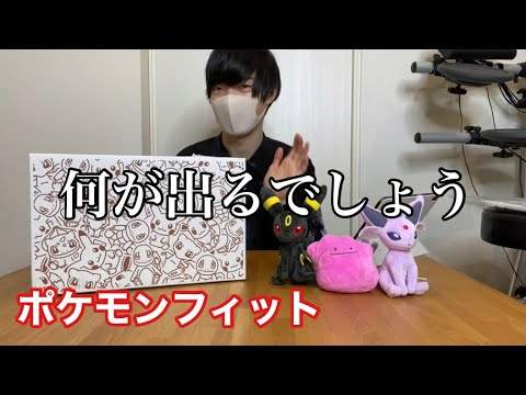 ポケモンfit 11体 まとめ カロス地方のポケモン全107種が仲間入り！ポケモンセンター