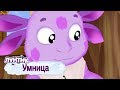 Умница 🤗 Лунтик 🤗 Сборник мультфильмов 2019