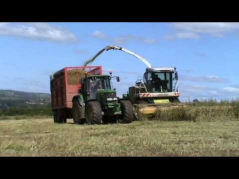 Whole Crop Wheat Silaging - Claas 870 Forager.