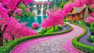 Gentle Music for the Nervous System 🌸 Calming Healing Music for Relaxation & Inner Peace screenshot 5