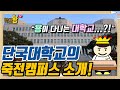 단국대학교 죽전캠퍼스 소개 단국대 죽전캠퍼스에는 뭐가 있을까 단국대학교 죽전캠퍼스 소개 단국대 죽전캠퍼스에는 뭐가 있을까