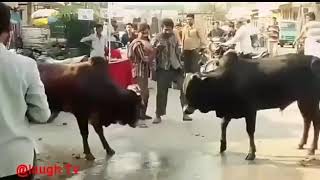 Download Lagu Funny video reloaded#haguu MP3