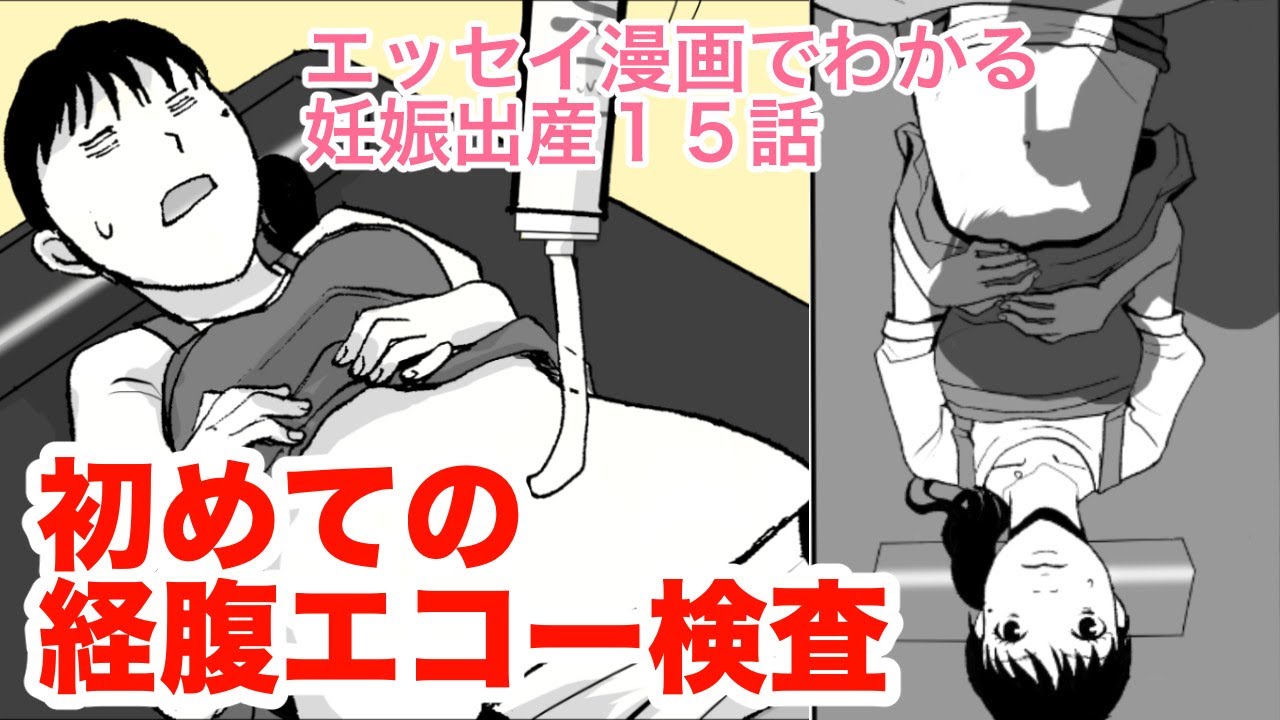 エッセイ漫画でわかる妊娠出産 １５話 初めての経腹エコー検査 Youtube