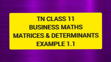 TN Class 11 Business Maths Matrices & Determinants Example 1.1
