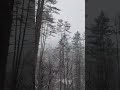quiet snow in the Pennsylvania hills