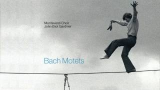 Bach  Motets  Gardiner / Monteverdi Choir