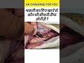 मछली का पित्त खाने से कौन सी बीमारी ठीक होती है? 😱 | GK Question#shorts #viral #gk #motivation