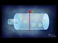 The Science  Information about Erasure Cost and Reversible Computing