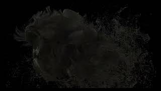 Houdini Skull Particles fx mantra