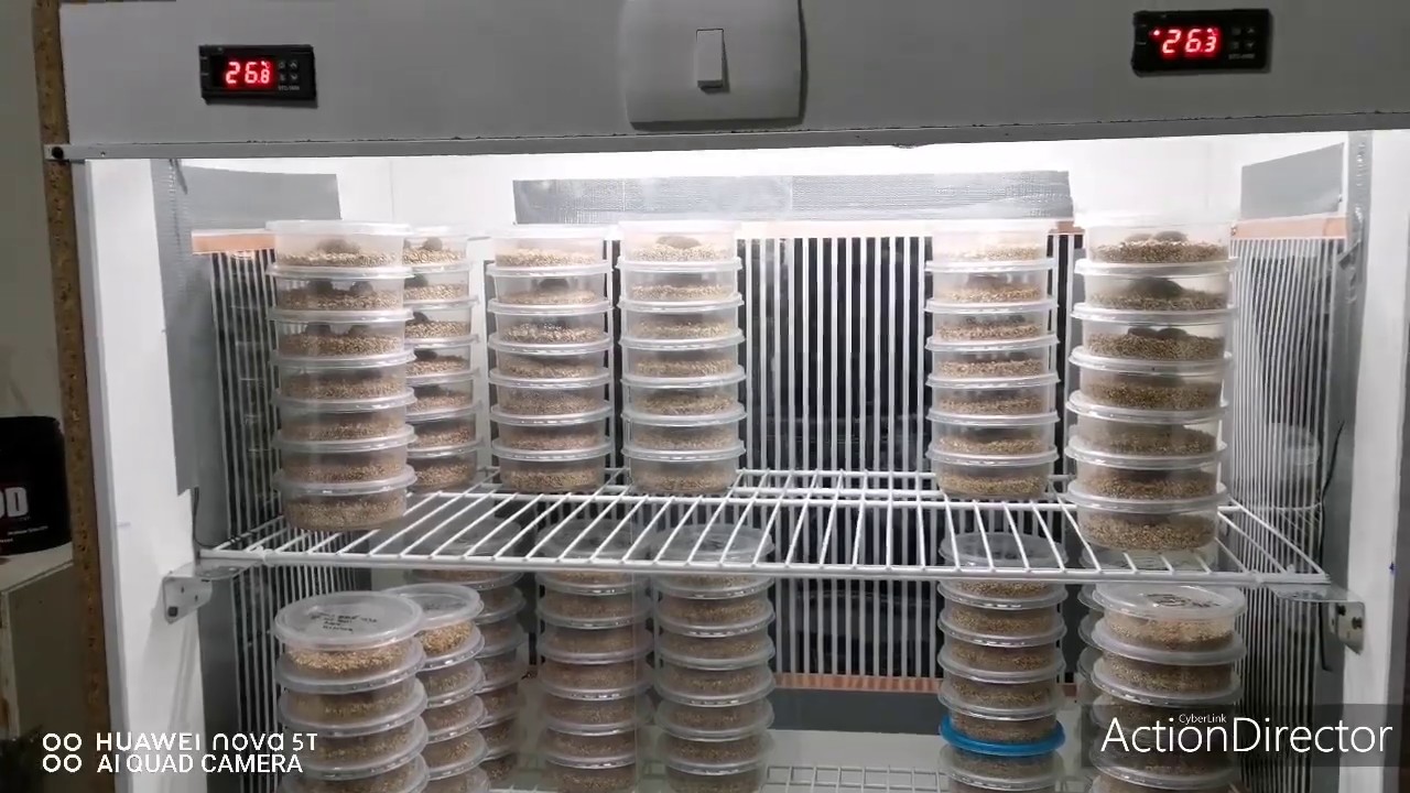 Fabricación de incubadora paso a paso (parte 3)