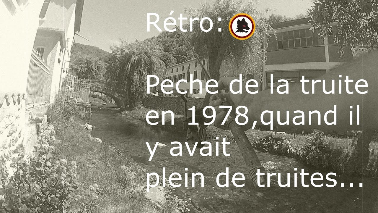Livre Ancien “La Pêche Au Coup Moderne” - Michel Pollet - 1978 - Bon état