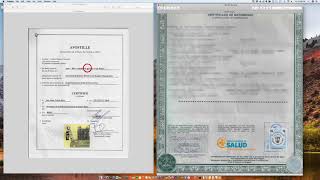 Cómo se apostilla un Acta de Matrimonio de Puerto Rico
