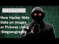 Master Steganography in Kali Linux 2025: Hide Data in Images Easily 🔐