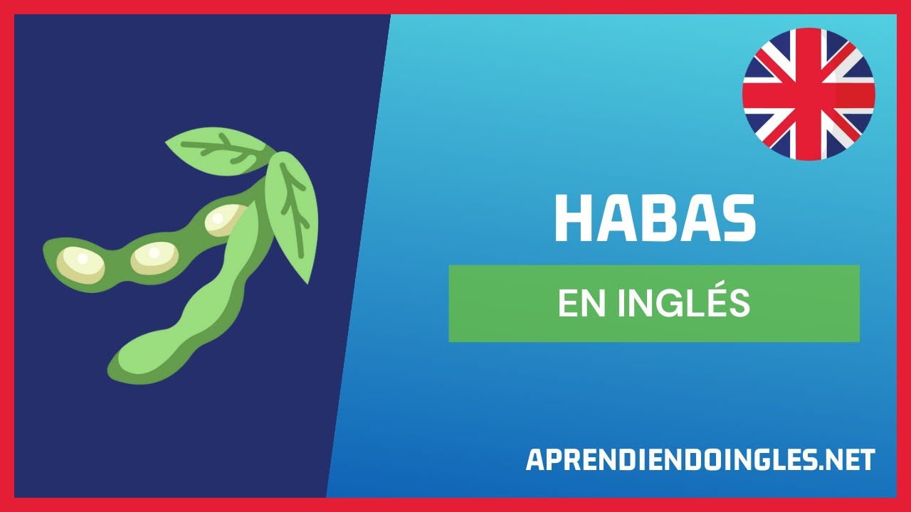 CÓMO se dice HABAS en INGLÉS 2023 🚀 APRENDE A ESCRIBIR BROAD BEANS