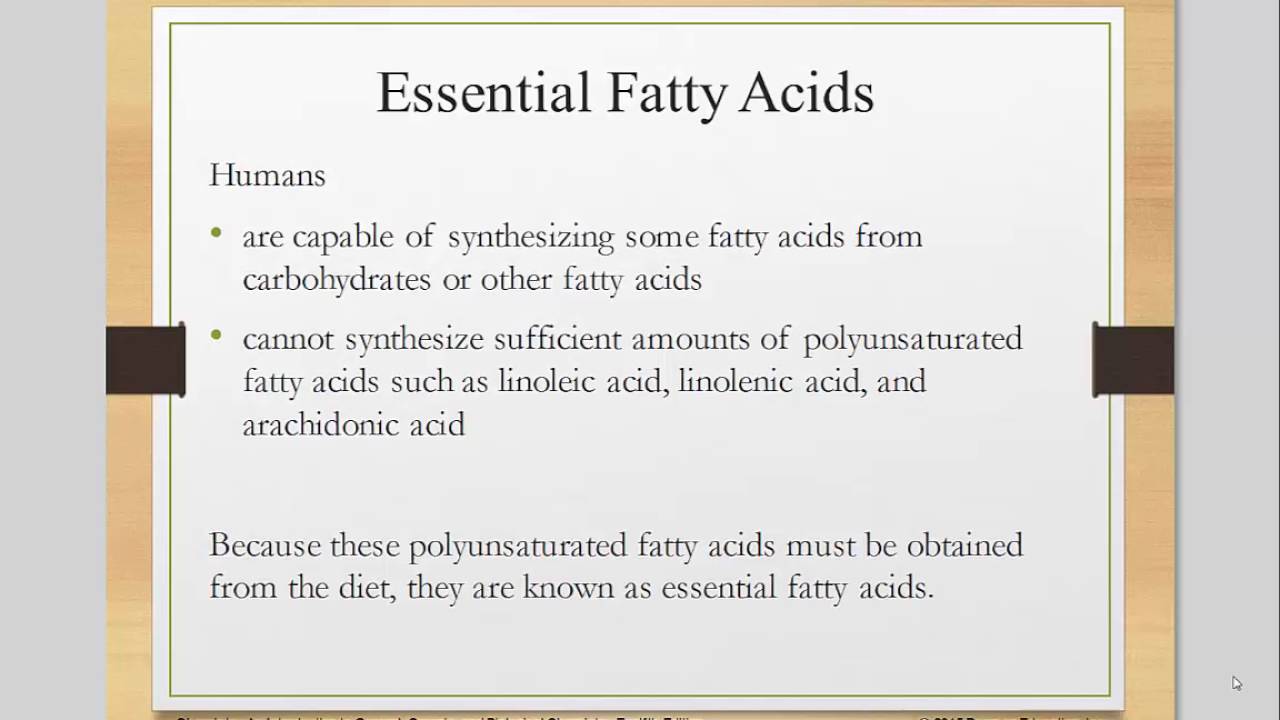 Fatty Acids YouTube