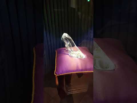 Cinderella S Shoe In Tokyo Disneyland Shorts 