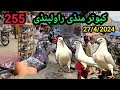 255  part 2  juma bazar kabutar mandi rawalpindi  latest update high flyer pigeon price 2742024