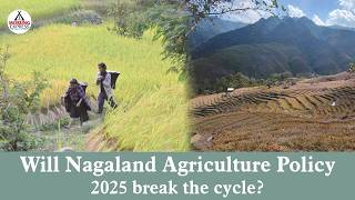 Will Nagaland Agriculture Policy 2025 break the cycle?