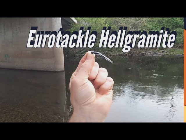Creek Fishing Using Eurotackle Hellgramite 