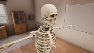 VR Anatomy | Virtual Reality | HTC Vive | Oculus Quest 2 | Unreal Engine