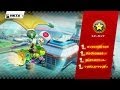 マリオカート8 スターカップ