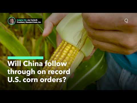Will China Follow Through on Record U.S. Corn Orders?