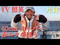 【ノドグロ】片貝でアカムツを釣るぞ！！【つり情報】