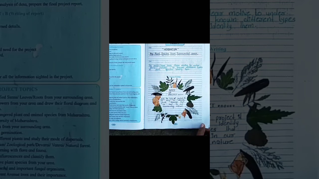 Herbarium project🌿 12th
