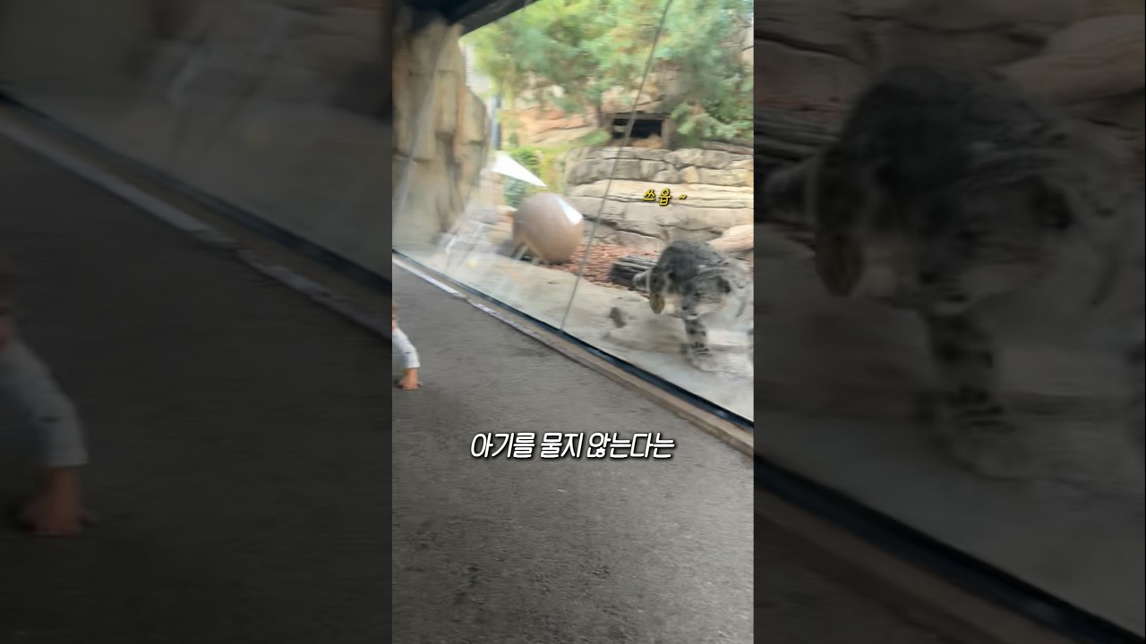 설표에 대해서..