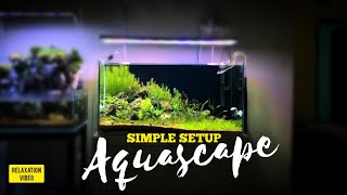 Setting tank 80cm Step by Step - Aquascape Tema Pegunungan Kah