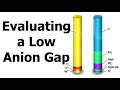 Evaluating a low anion gap